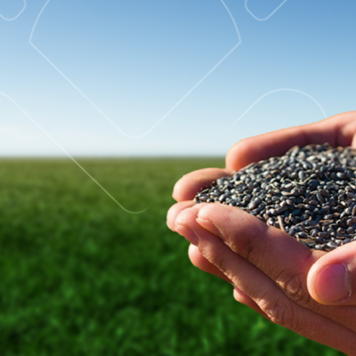 Banner_01_Institucional-Mao_1920x576_V01-01